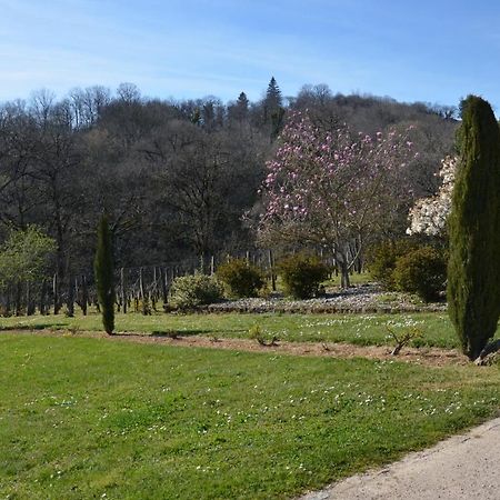 La Vigneraie Apartment Albiac Екстериор снимка